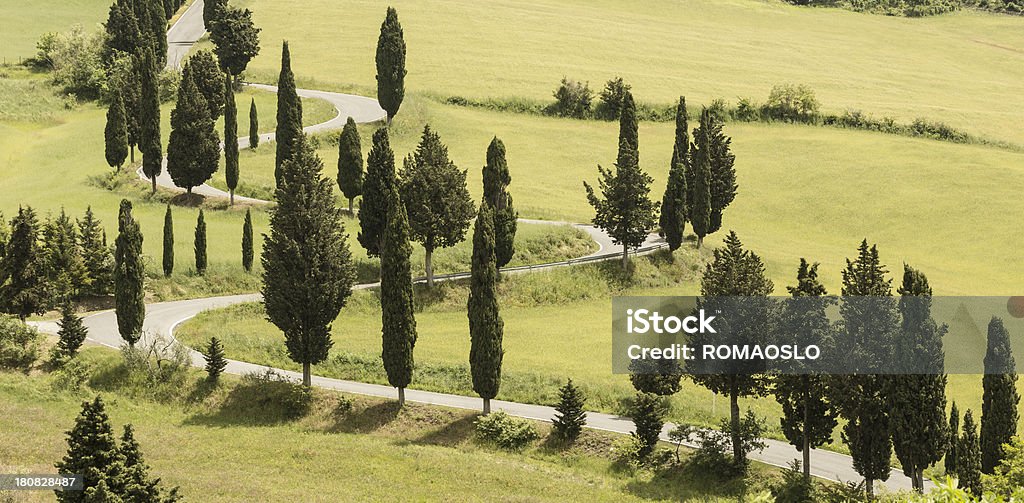 Cypress foderato strada in Monticchiello Val d'Orcia, Toscana, Italia - Foto stock royalty-free di Ambientazione esterna