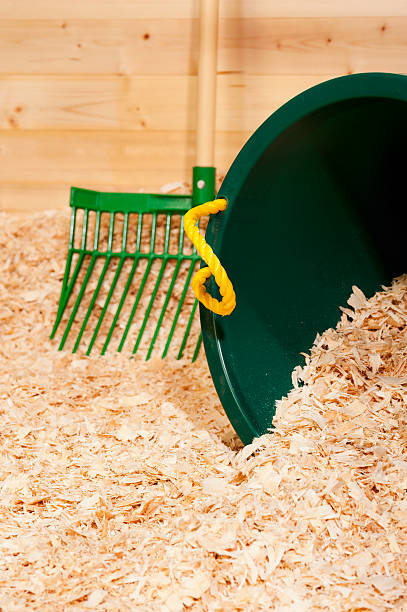 istock New Wood Shavings for Animal Bedding 180828876