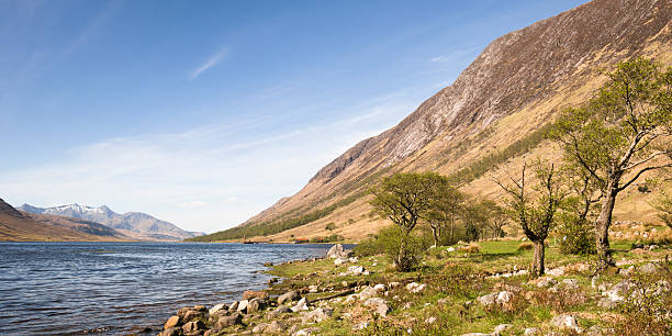 Glen Etive in Scotland View south down Loch Etive in late spring / early summer. glen etive photos stock pictures, royalty-free photos & images