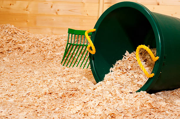 New Wood Shavings For Animal Bedding Stock Photo - Download Image Now - Horse, Bedding, Wood Shavings - iStock New Wood Shavings For Animal Bedding Stock Photo - Download Image Now - Horse, Bedding, Wood Shavings - iStock
