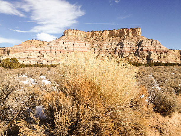 istock mobilestock southwest landscape 180829364