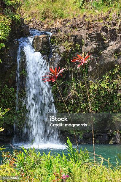 Hana Estrada De - Fotografias de stock e mais imagens de Ao Ar Livre - Ao Ar Livre, Cascata, Folhagem viçosa