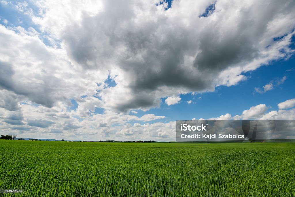 Agrícolas tierra - Foto de stock de Agricultura libre de derechos