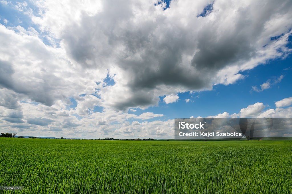 Terras aráveis - Royalty-free Agricultura Foto de stock