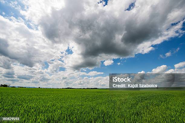 Terras Aráveis - Fotografias de stock e mais imagens de Agricultura - Agricultura, Ajardinado, Ao Ar Livre