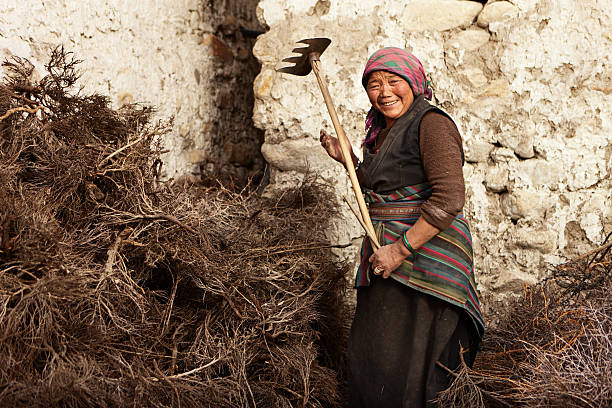istock Tibetan woman at work 180829958