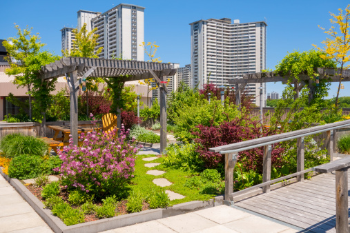 Roof Garden on the top of an apartment building