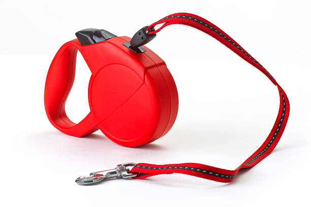 Red retractable leash Red retractable leash for dog on bright background retractable stock pictures, royalty-free photos & images