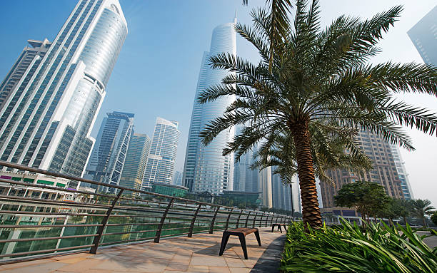 Apartments and office developments Cityscape of High Rise lifestyle apartments and offices with palm trees and clear skies jumeirah stock pictures, royalty-free photos & images