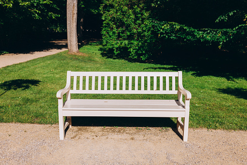 Wooden white bench in the city spring park, lush green parkland.