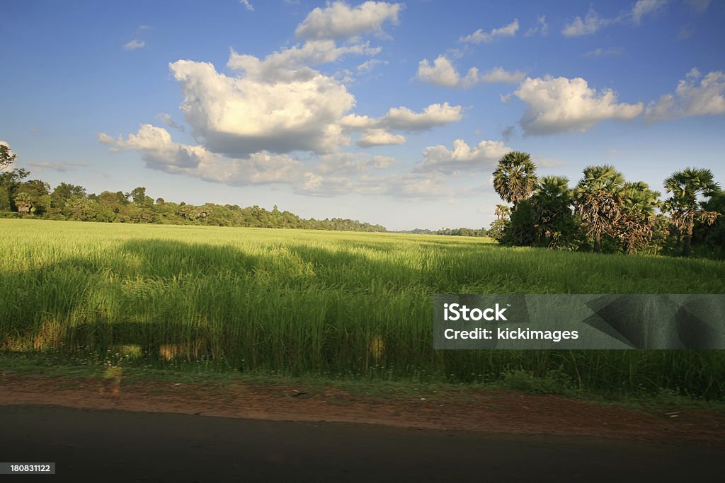 Hermoso paisaje de primavera - Foto de stock de Agricultura libre de derechos