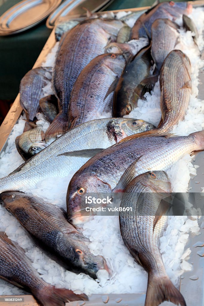 Różnych biały ryby widoczne w restauracji - Zbiór zdjęć royalty-free (Bez ludzi)