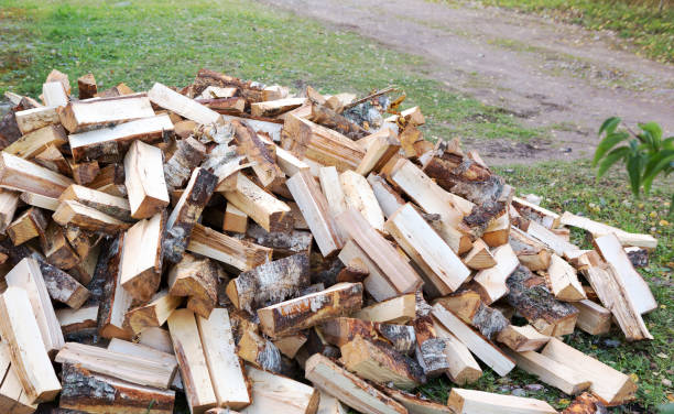 drewno opałowe z brzozy. - log fire firewood fire chimney zdjęcia i obrazy z banku zdjęć