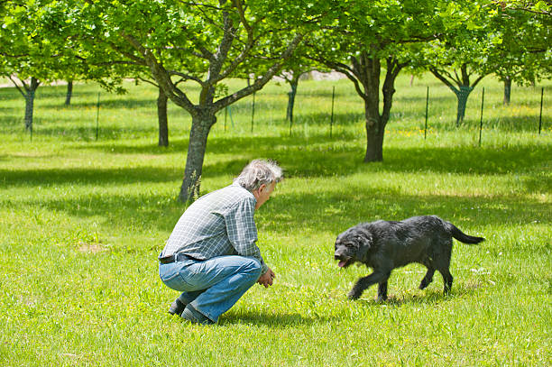 Senior calling dog to him