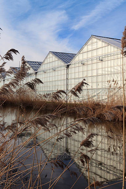 modern greenhouse and its reflection in the water