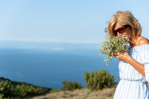 Woman on Vacation Enjoy Picking Wild Aromatic Sage Growing on the Mediterranean Coastline Hills of Cres Island, Croatia