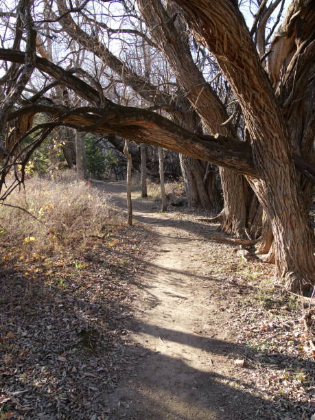 istock Kansas hiking trail in late Fall 1808337668