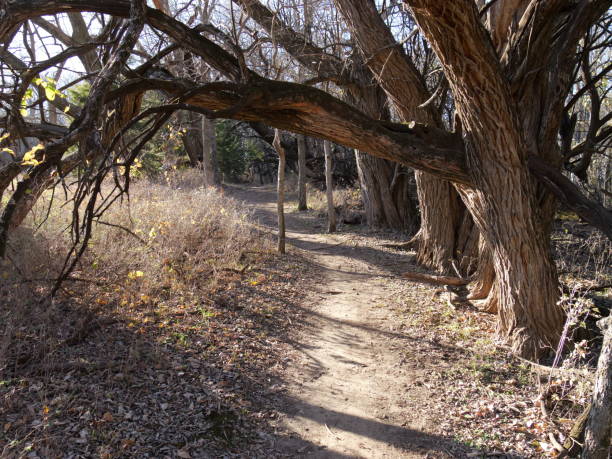 istock Kansas hiking trail in late Fall 1808338024
