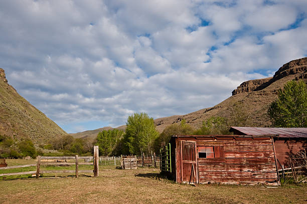 Red Cabin in a Canyon This well preserved red cabin brings back memories of when this area was a working cattle ranch. This cabin and ranch are on Charley Creek near Asotin, Washington State, USA. jeff goulden agriculture stock pictures, royalty-free photos & images
