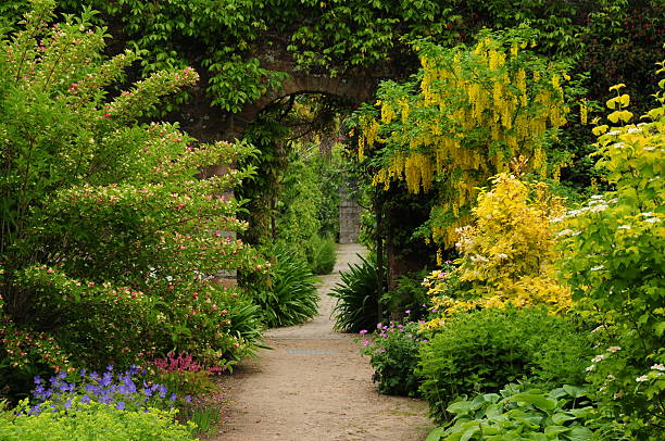 jardim secreto. - laburnum uk british culture rural scene - fotografias e filmes do acervo