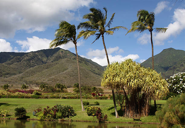 istock Maui Countryside In Hawaii 180834831