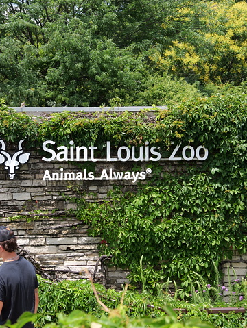 St. Louis, Missouri - June 21, 2023: St Louis - Amazing Free Zoo