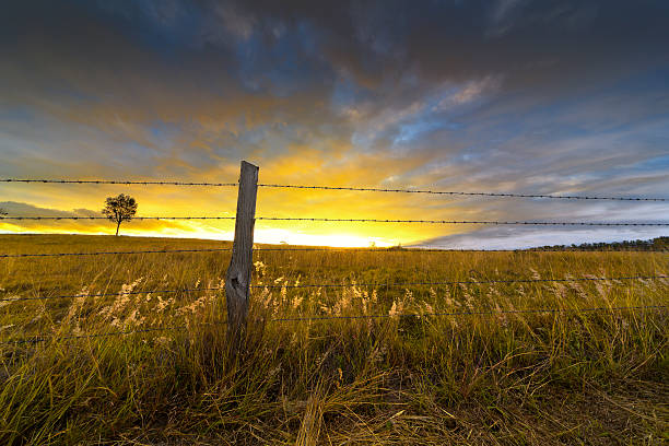 pôr do sol sobre o rústico vedação - grandchester imagens e fotografias de stock