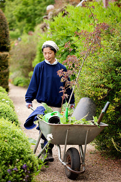 istock Gardening with wheelbarrow 180835662