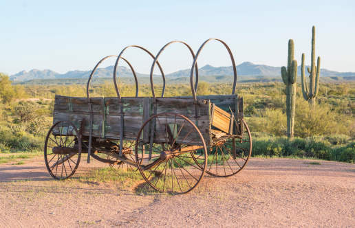 Delapidated old fashioned covered wagon with the green desert of springtime.