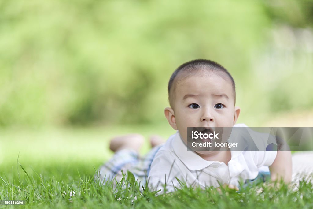 Милые азиатские Маленький ребенок мальчик Ползать на лужайке - Стоковые фото 0-11 месяцев роялти-фри