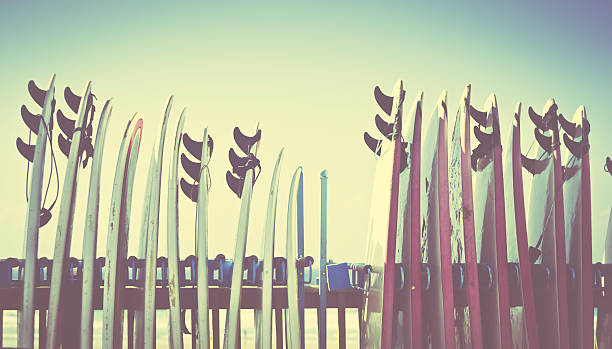 istock Row of retro surf boards by beach 180836632