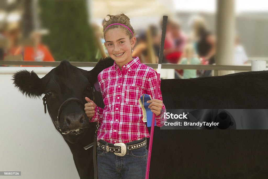 Blonde girl in pink at a county fair next to a black cow Child showing a beef heifer at a 4-H show during the County Fair.  Exhibition Stock Photo