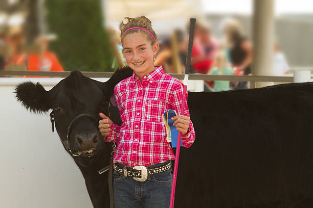 Blonde girl in pink at a county fair next to a black cow Child showing a beef heifer at a 4-H show during the County Fair.  agricultural fair stock pictures, royalty-free photos & images