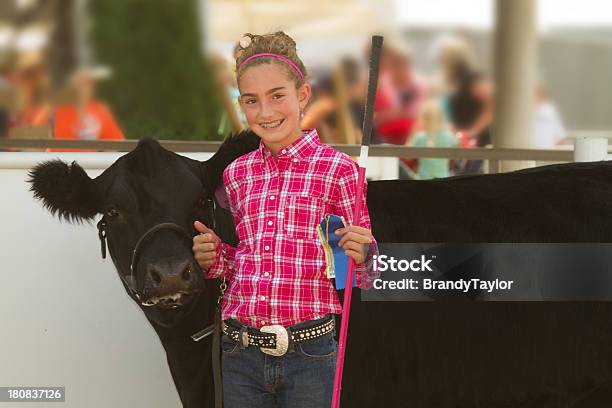 Blonde Girl In Pink At A County Fair Next To A Black Cow Stock Photo - Download Image Now