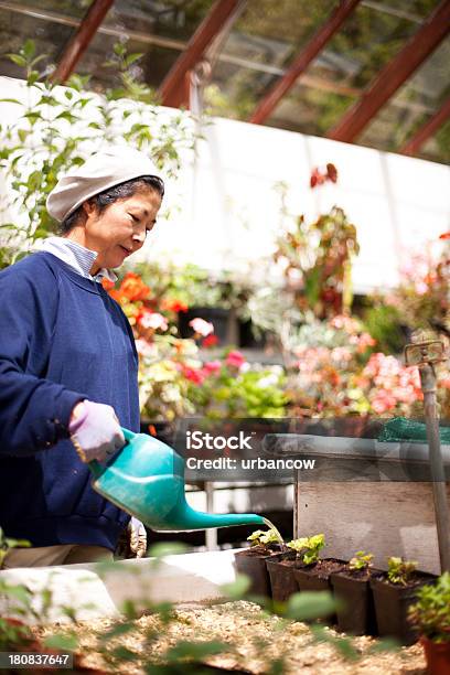 Regar Plantas Em Glasshouse - Fotografias de stock e mais imagens de Adulto - Adulto, Arquiteto Paisagista, Boné