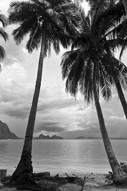 istock The Philippines, Palawan Province, El Nido. 180837656