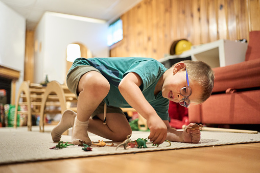 Smiling little boy playing with his collection of toy dinosaurs on a living room floor at home