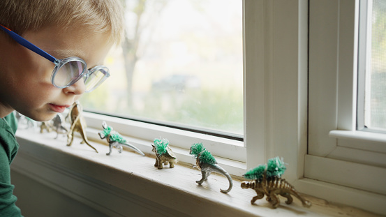 Close-up of a cute little boy playing with toy dinosaurs carrying Christmas trees on window sill during the holidays