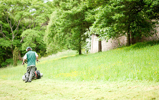 groundsman tondre la pelouse - formal garden wall ornamental garden walled garden photos et images de collection