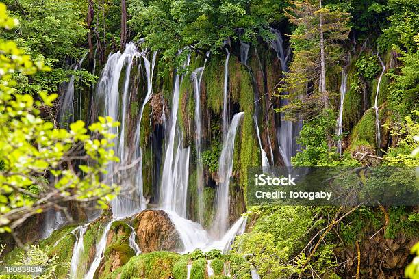 Parque Nacional De Plitvice Lakes De - Fotografias de stock e mais imagens de Ao Ar Livre - Ao Ar Livre, Atividade Recreativa, Beleza natural