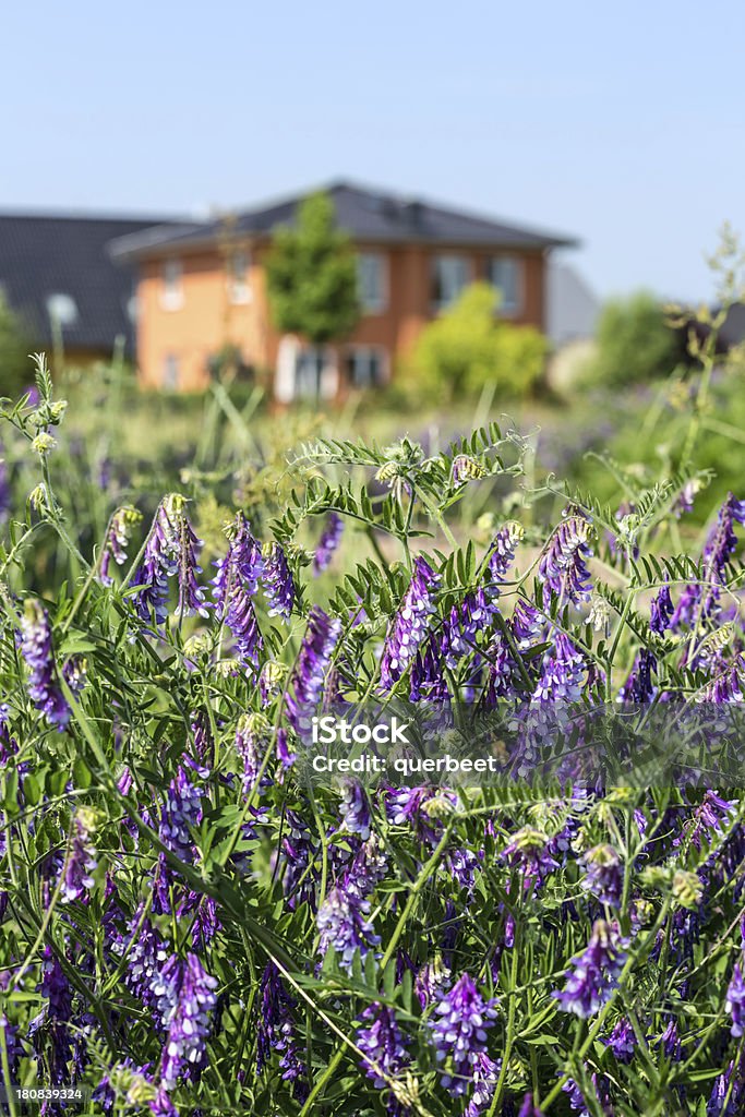 Zu Hause im Sommer - Lizenzfrei Außenaufnahme von Gebäuden Stock-Foto