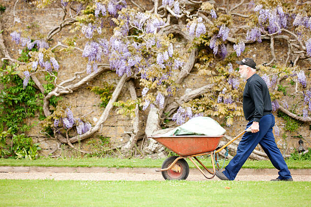 ゴミ収集 groundsman グリーン - single lane road footpath flower formal garden ストックフォトと画像