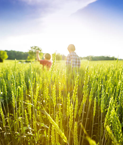 istock Children in a farm field 180839842