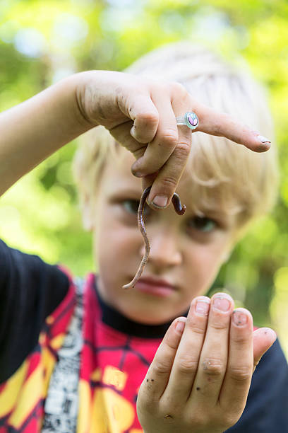 istock Little boy showing earthworm 180840069