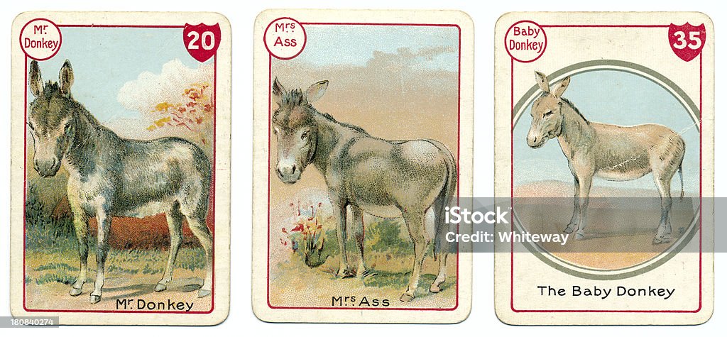 Três Burro Cartas De Jogar Victorian De Famílias Jogo - Arte vetorial de  stock e mais imagens de Burro - iStock