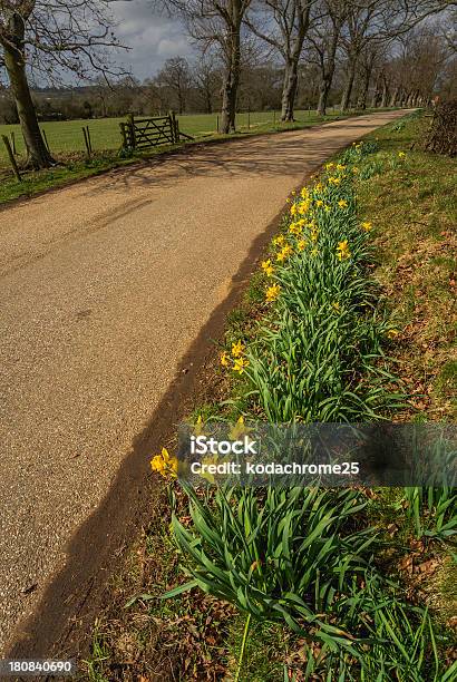 Kraj Lane - zdjęcia stockowe i więcej obrazów Anglia - Anglia, Asfalt, Bez ludzi