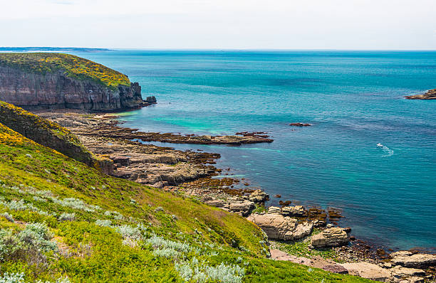 istock Coast in Britanny, France 180841134