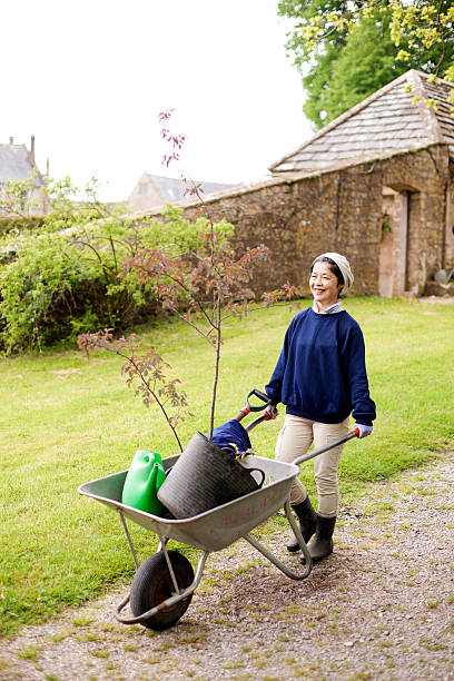 giardiniere con carriola - mansion uk gravel summer foto e immagini stock