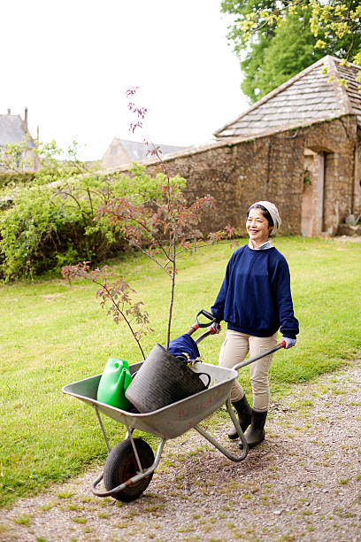 gardener z barrow - mansion uk gravel summer zdjęcia i obrazy z banku zdjęć