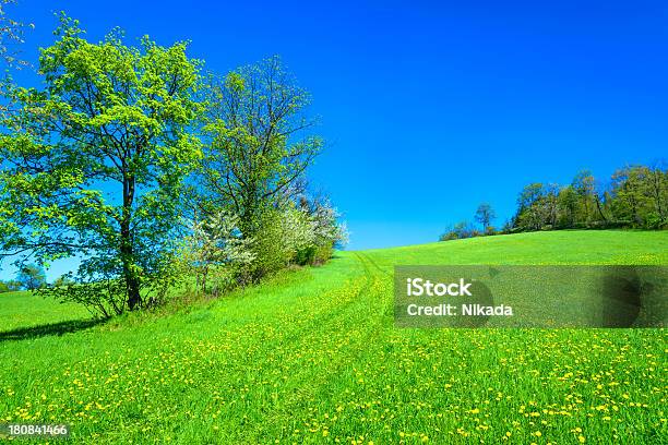 Landschaft Stockfoto und mehr Bilder von Baum - Baum, Blau, Ebene